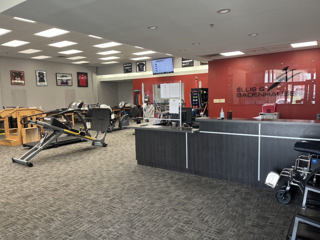 Physical Therapy Session